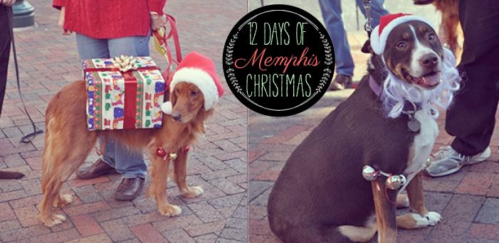 12 Days of Memphis Christmas: Howliday Parade // Ten Feet Off Beale http://www.tenfeetoffbeale.com