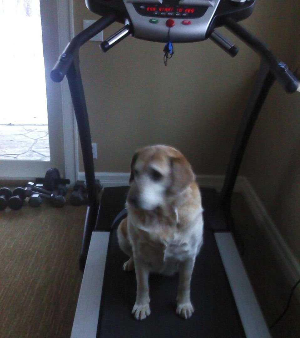 no treadmill!